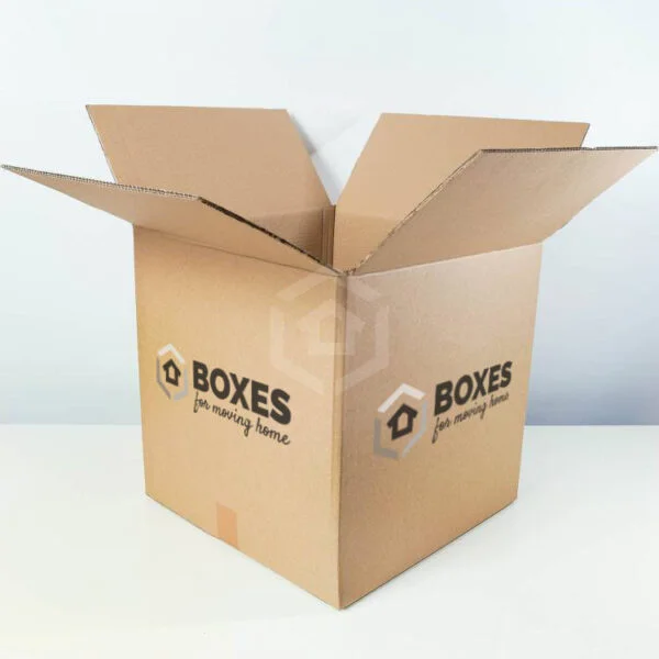 Large Removal Box